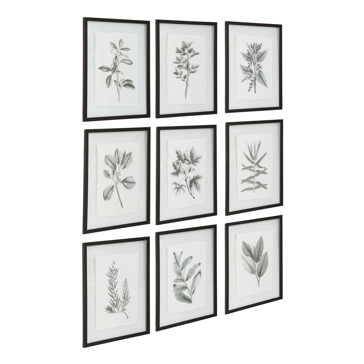 Uttermost Farmhouse Florals Framed Prints - Set of 9