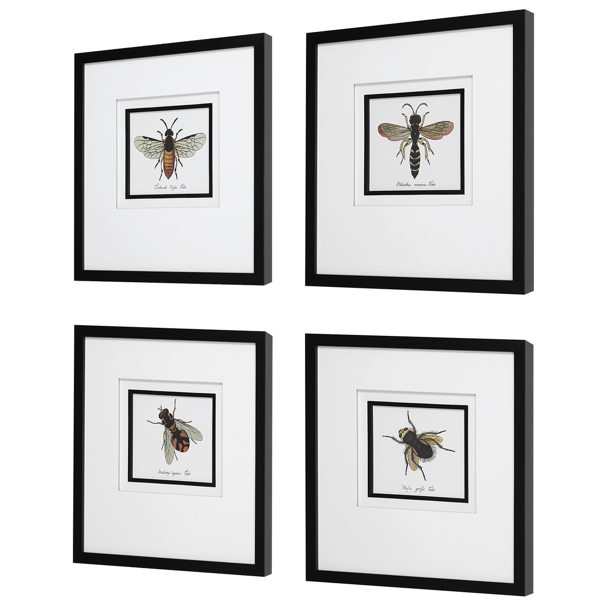 Uttermost Anthophila Framed Prints - Set of 4