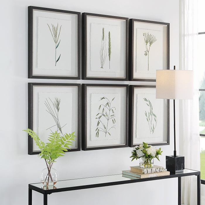 Uttermost Forest Finds Framed Prints - Set of 6