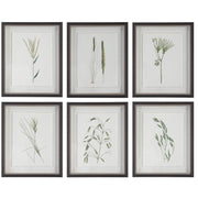  Forest Finds Framed Prints, S/6