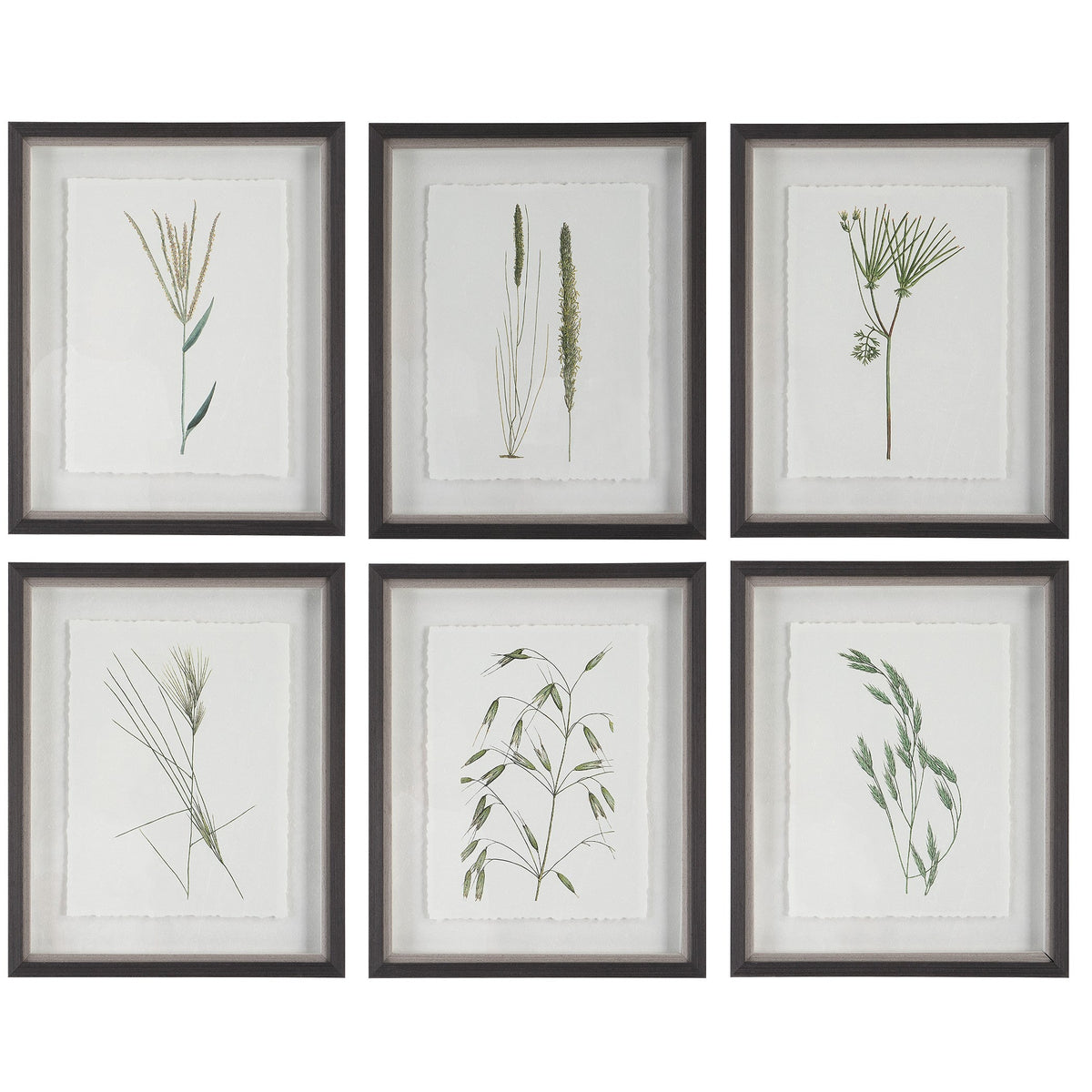  Forest Finds Framed Prints, S/6