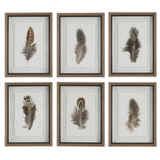  Birds Of A Feather Framed Prints, S/6