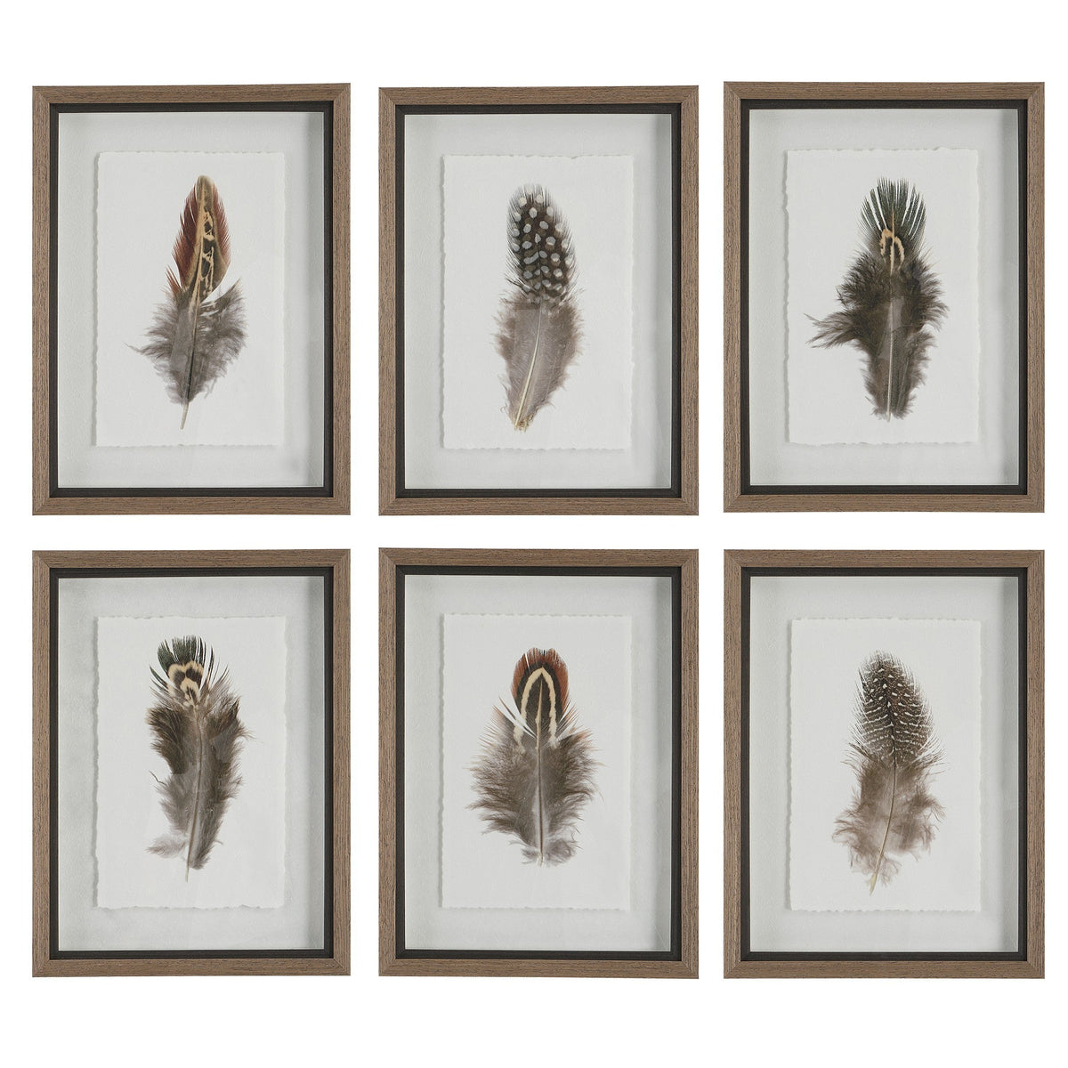  Birds Of A Feather Framed Prints, S/6