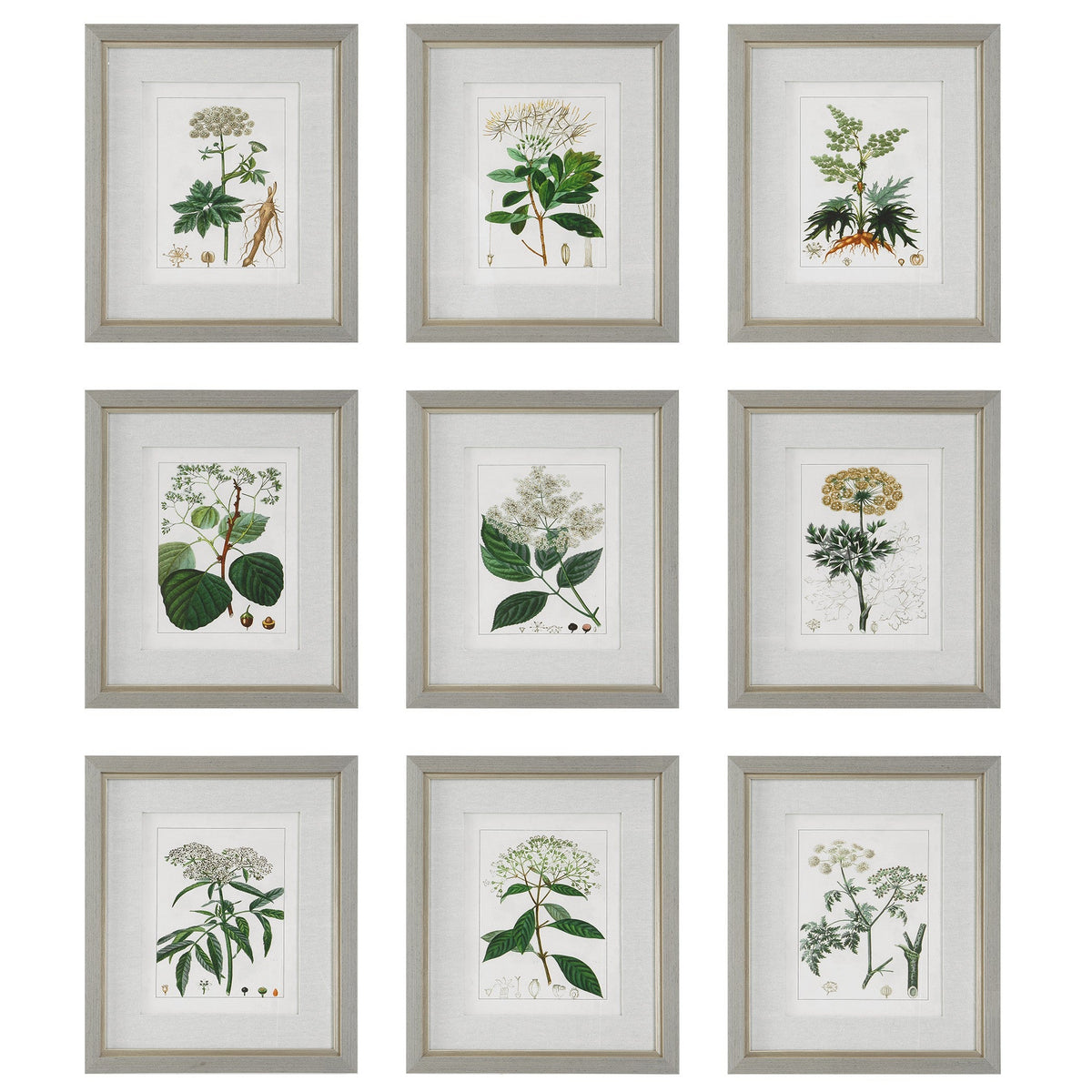  Antique Botanicals Framed Prints, S/9
