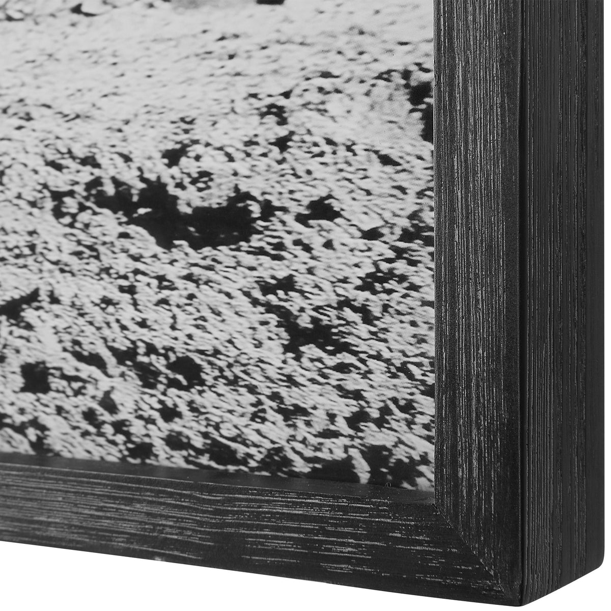 Uttermost Galloping Forward Equine Prints - Set of 3