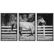 Galloping Forward Equine Prints - Set of 3