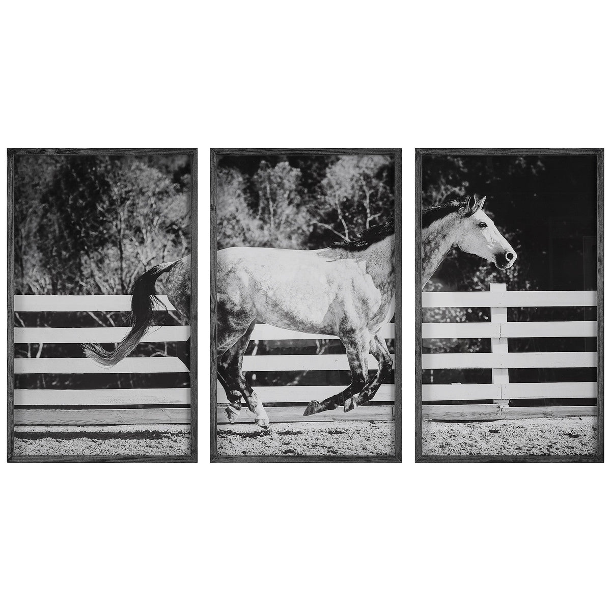 Galloping Forward Equine Prints - Set of 3