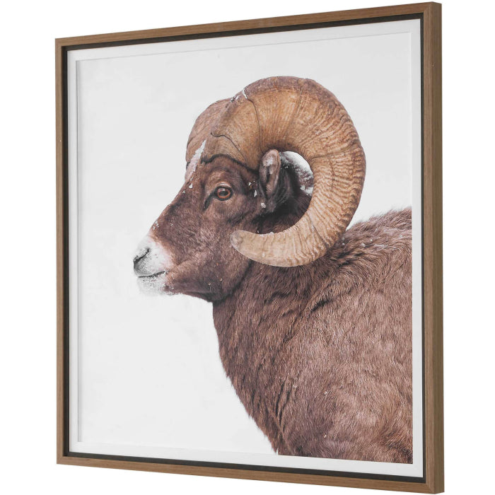 Uttermost Big Horn Sheep Framed Print