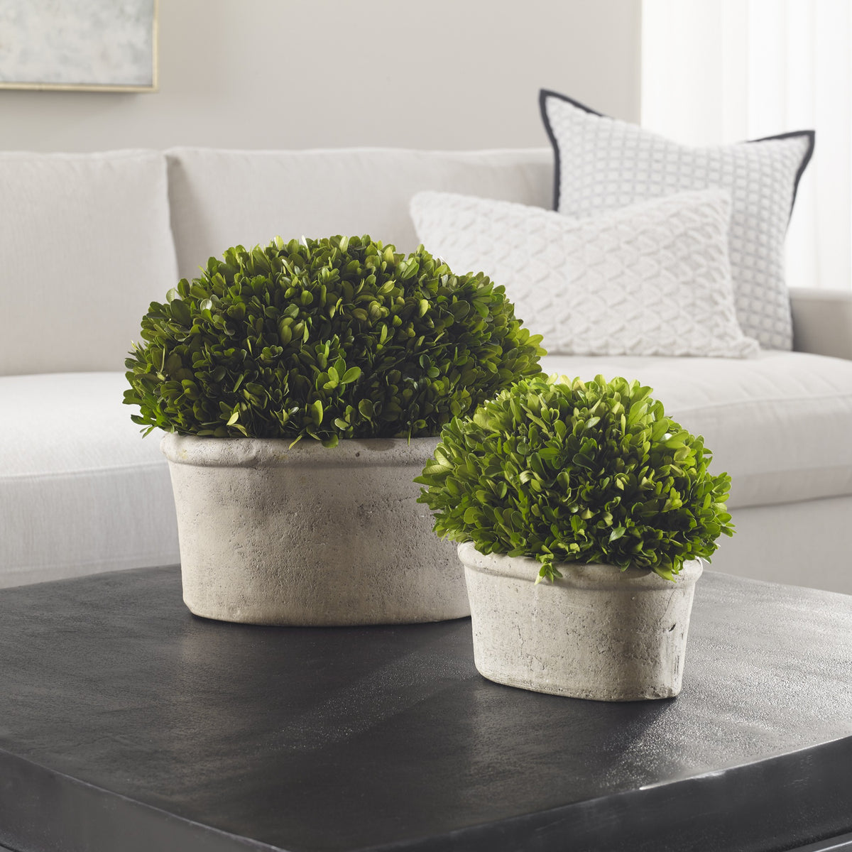 Uttermost Oval Domes Preserved Boxwood - Set of 2