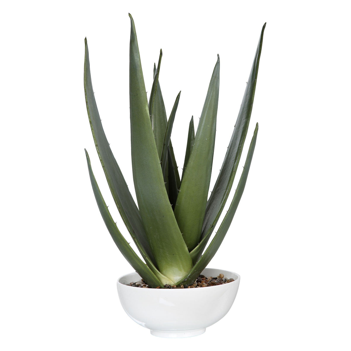  Evarado Aloe Planter