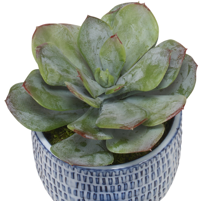 Uttermost Puebla Greenery In Blue & White Pots, Set of 3