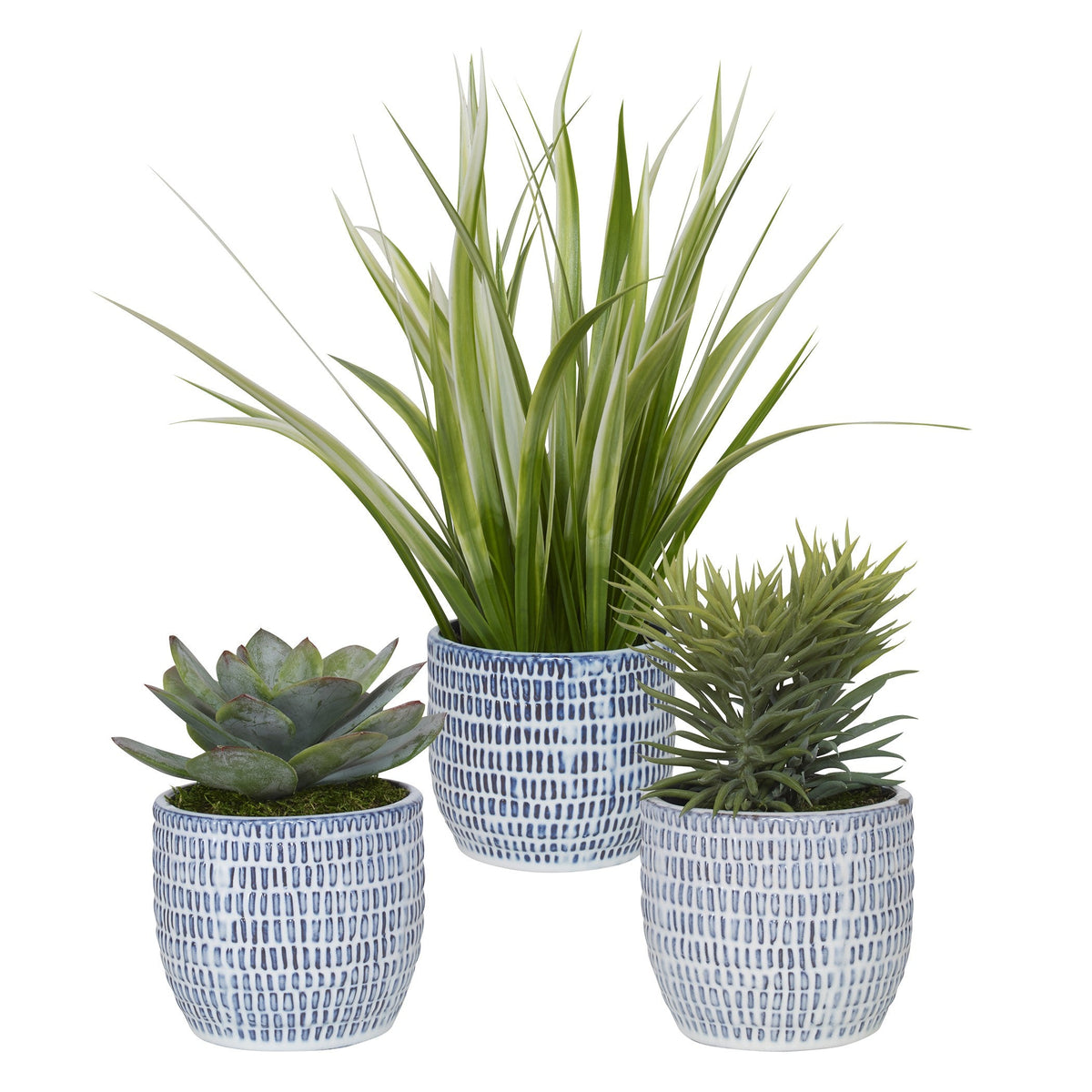  Puebla Greenery In Blue & White Pots, S/3