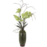  Valdive Orchid
