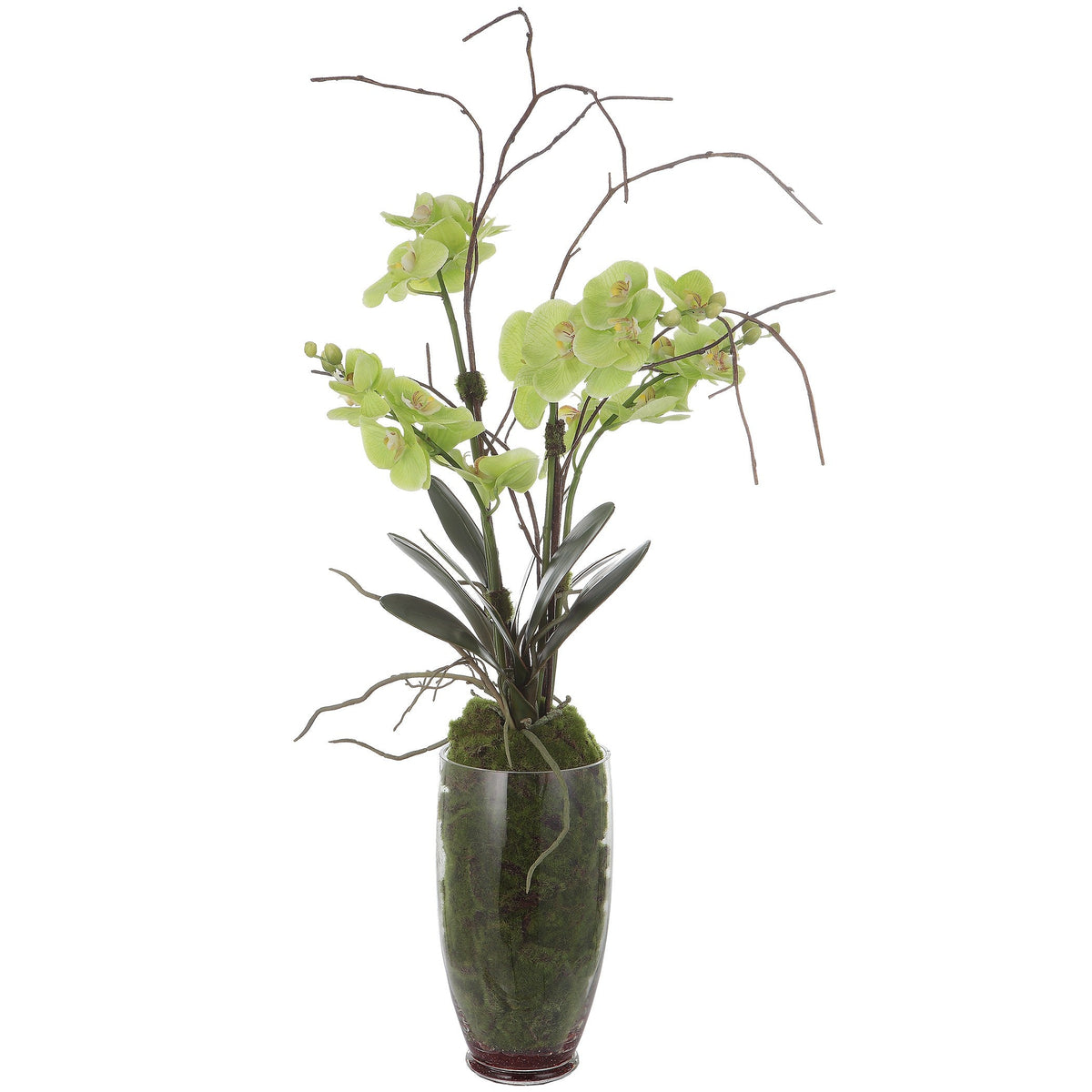  Valdive Orchid