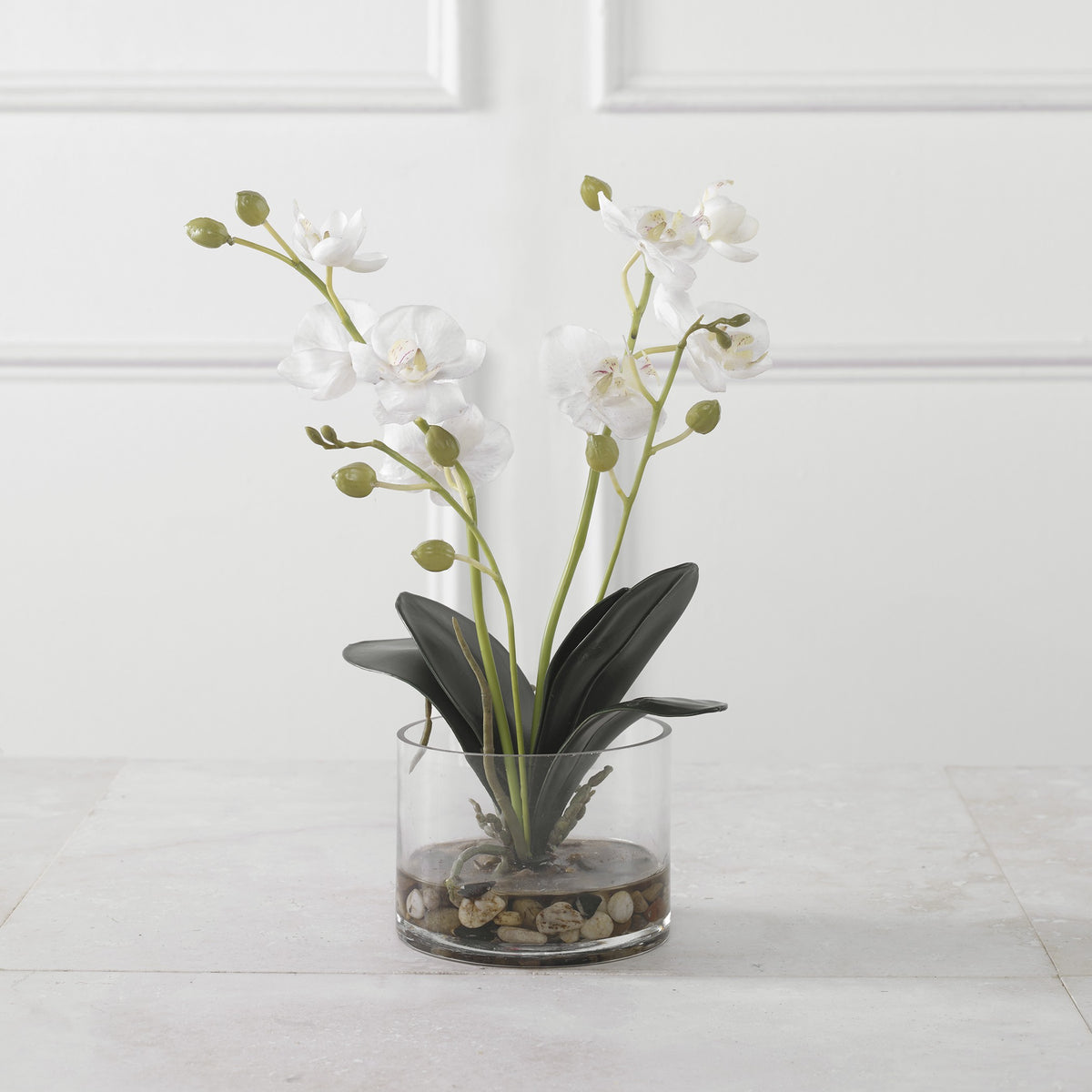 Uttermost Glory Orchid