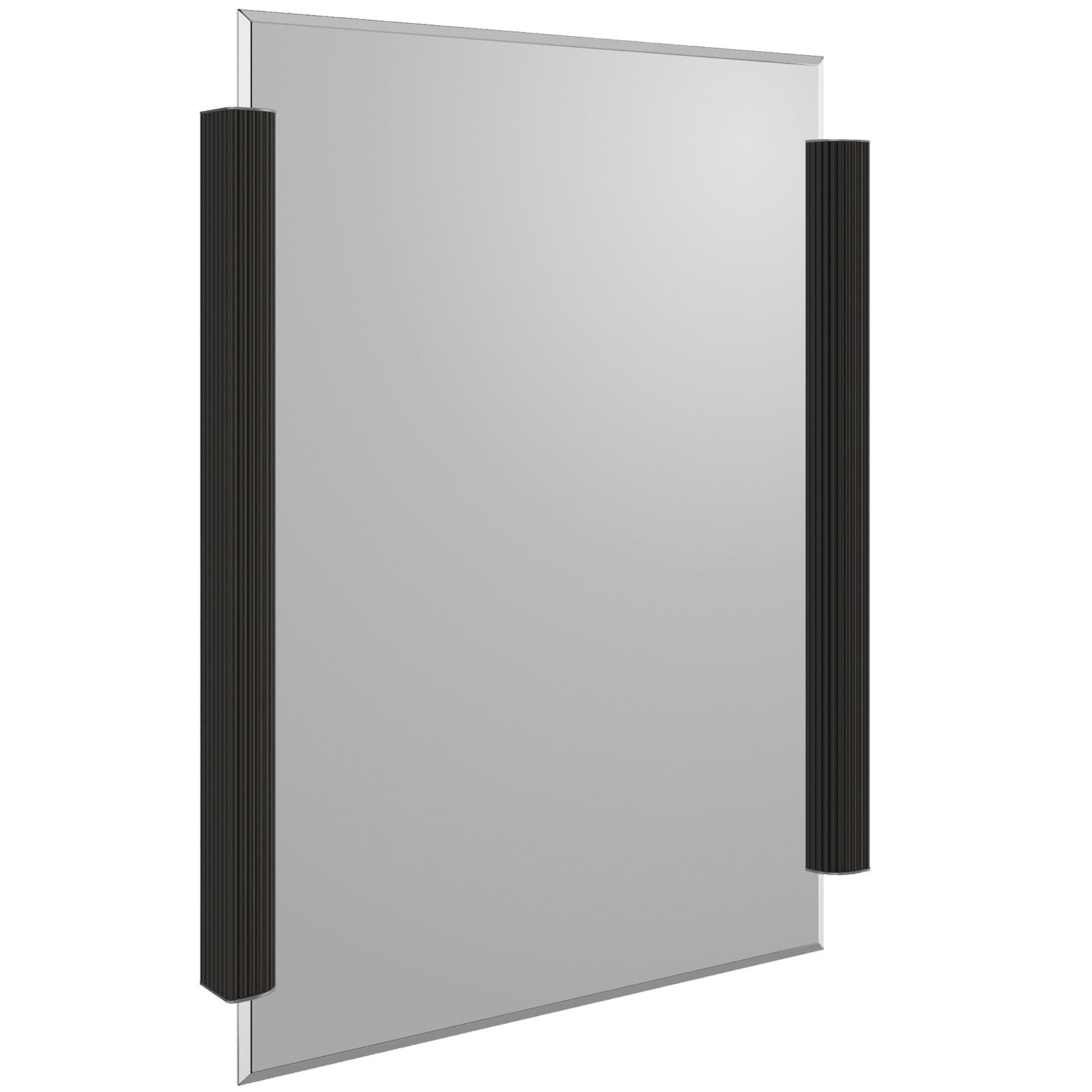 Caracole Love To Look! Rectangular Mirror in Dark