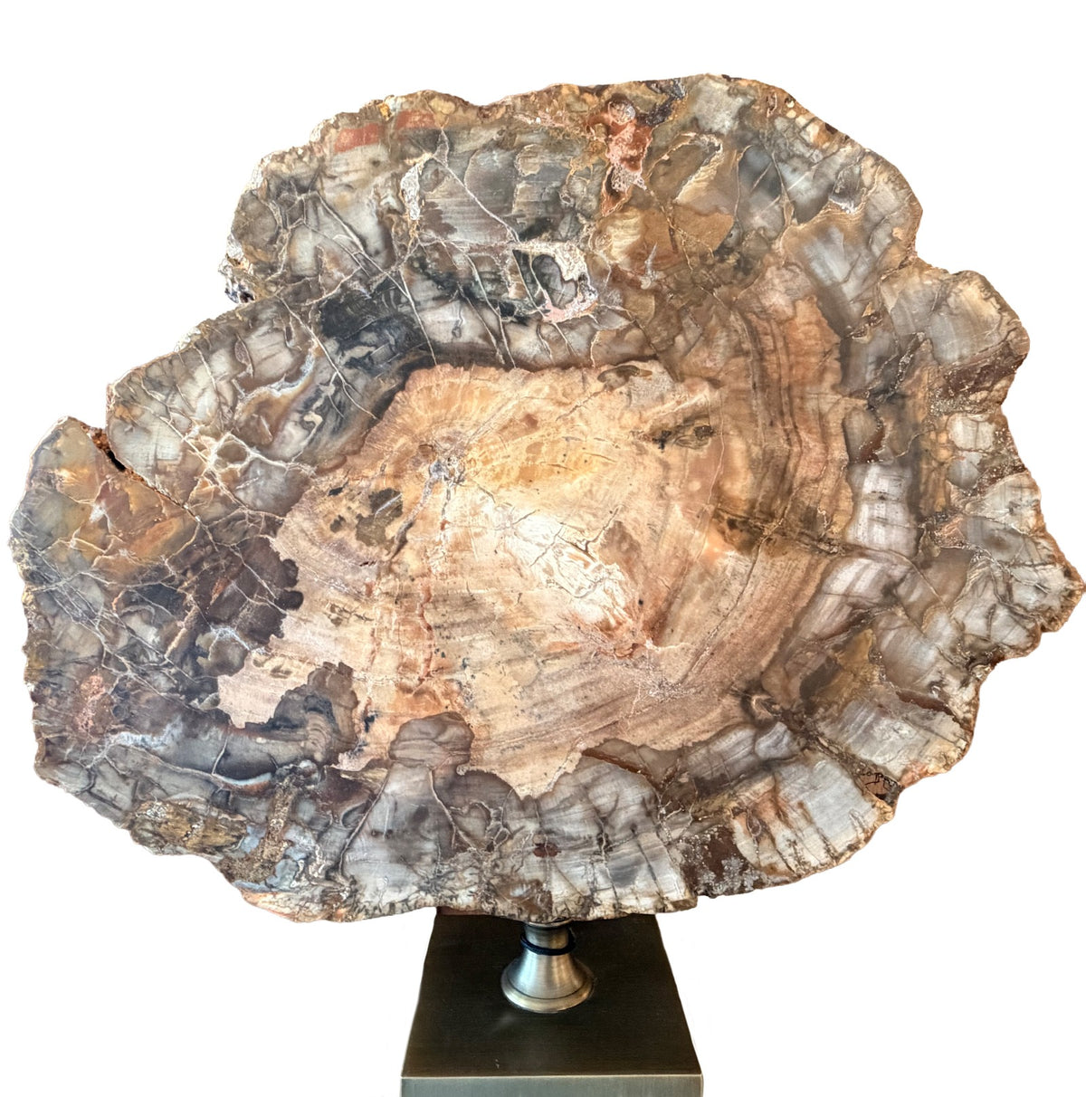 Keiichi Ivor Petrified Wood Sculpture