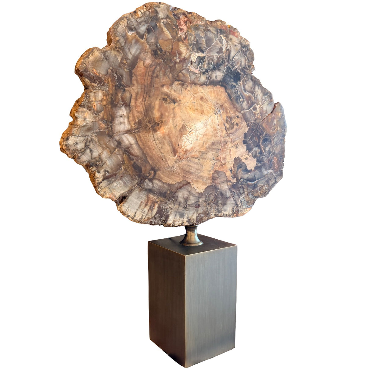 Keiichi Ivor Petrified Wood Sculpture