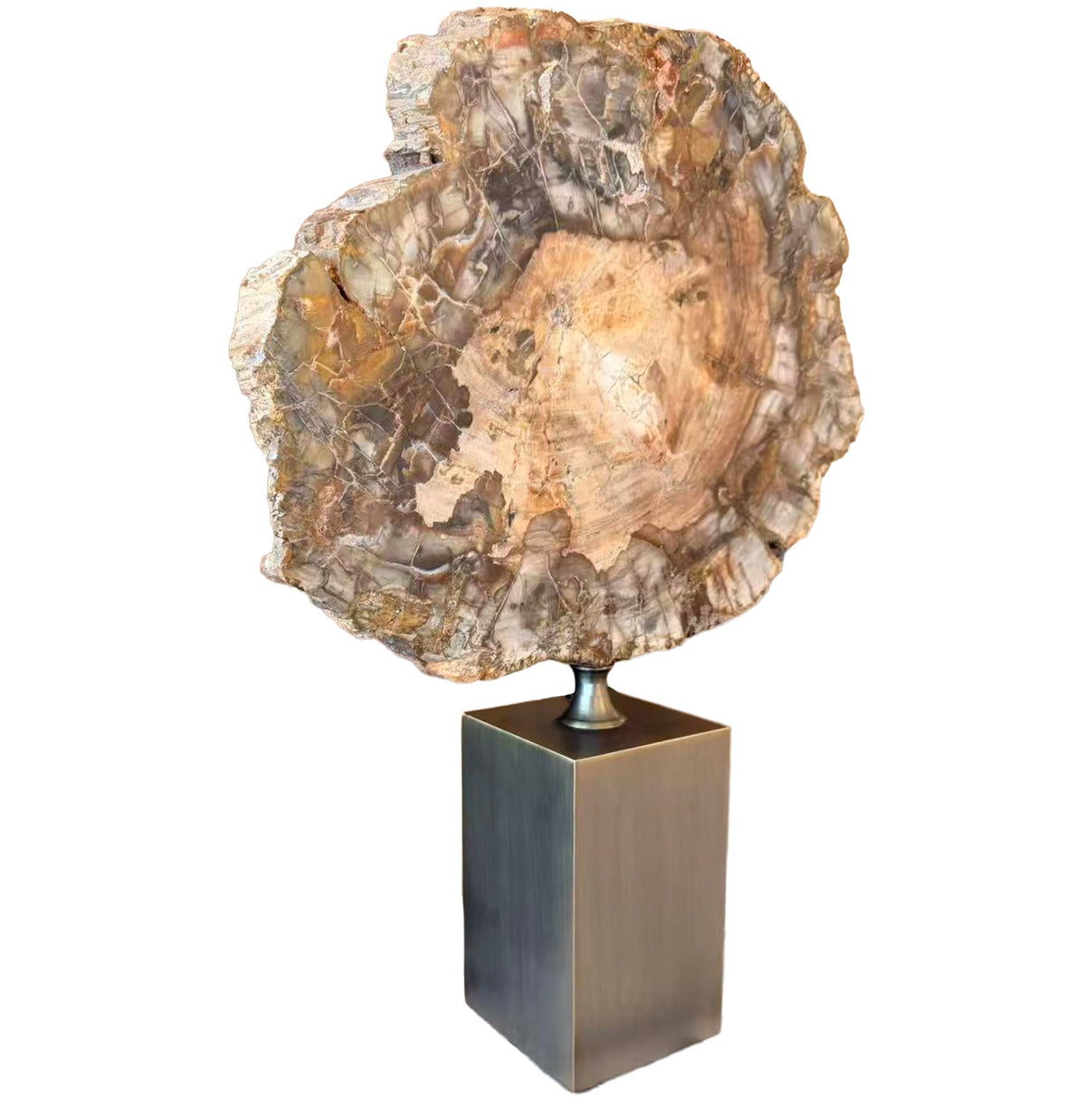 Keiichi Ivor Petrified Wood Sculpture