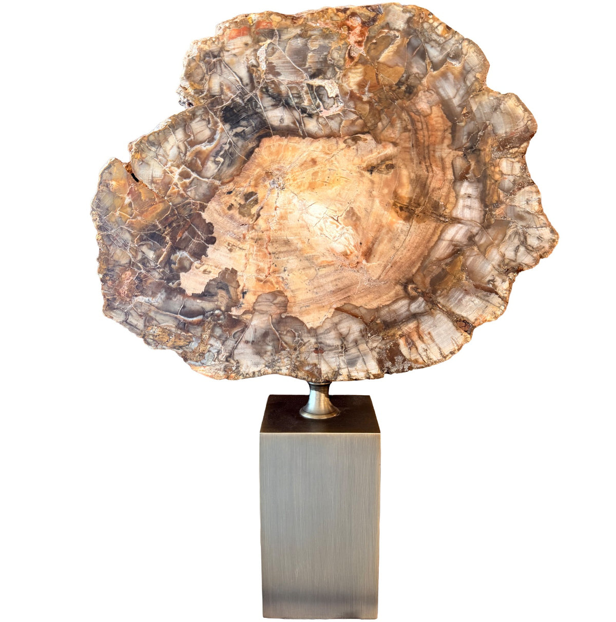 Keiichi Ivor Petrified Wood Sculpture