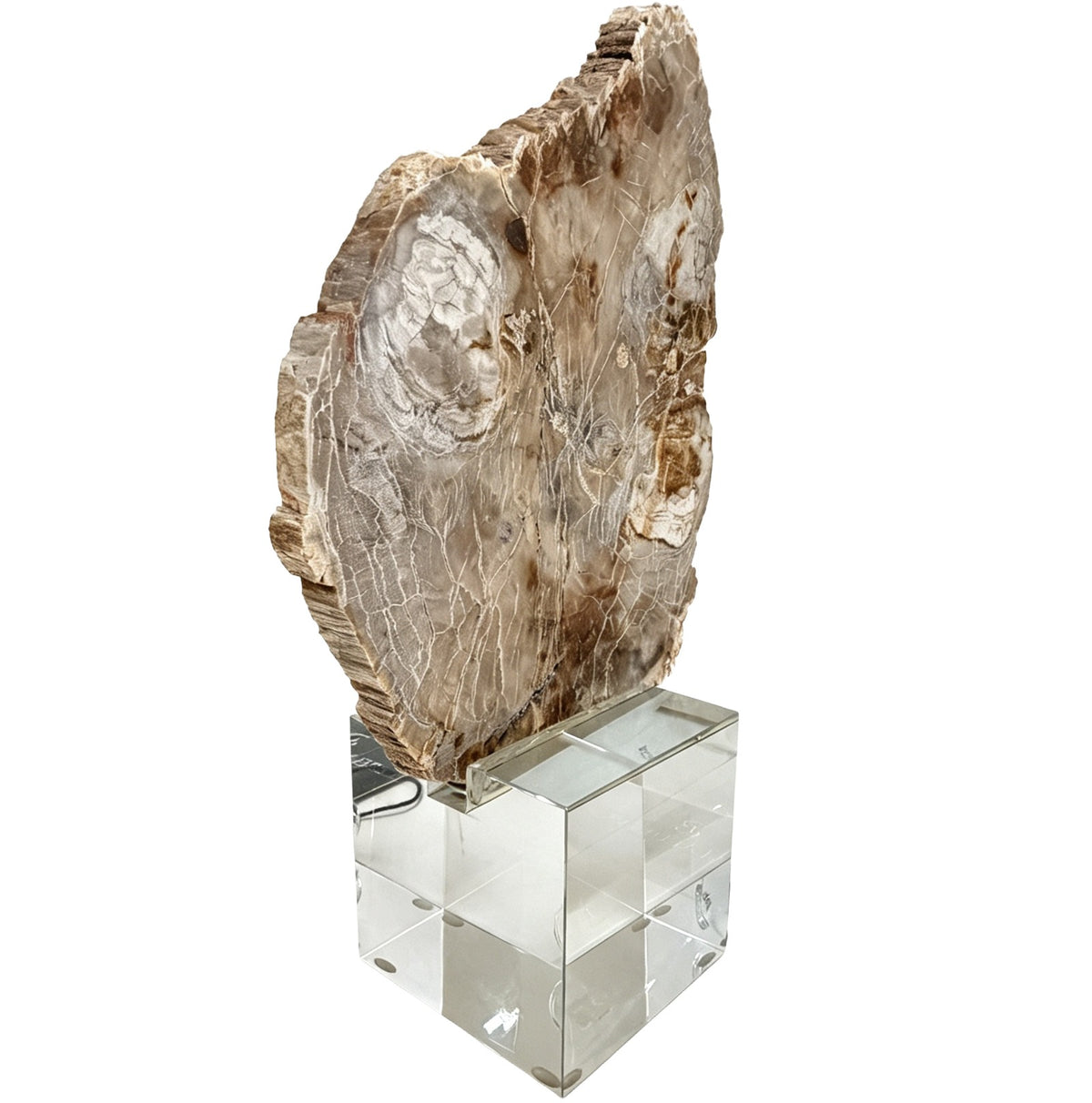 Keiichi Bram Petrified Wood Sculpture - Small