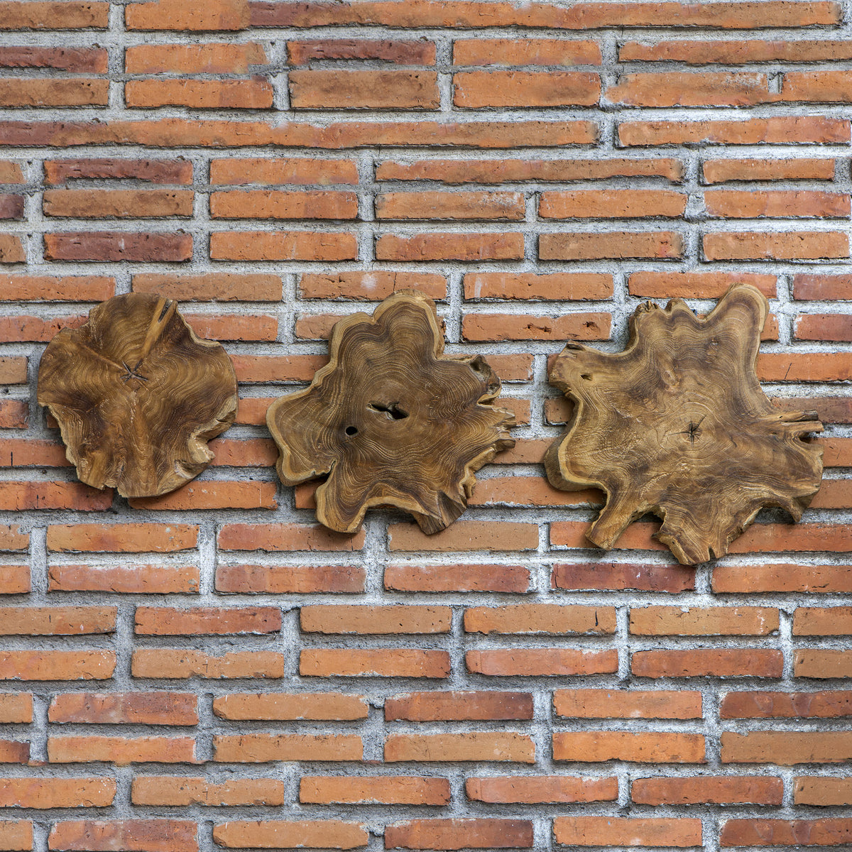 Uttermost Kalani Indoor-Outdoor Teak Wall Art - Set of 3