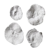 Sea Coral Wall Art - Set of 4