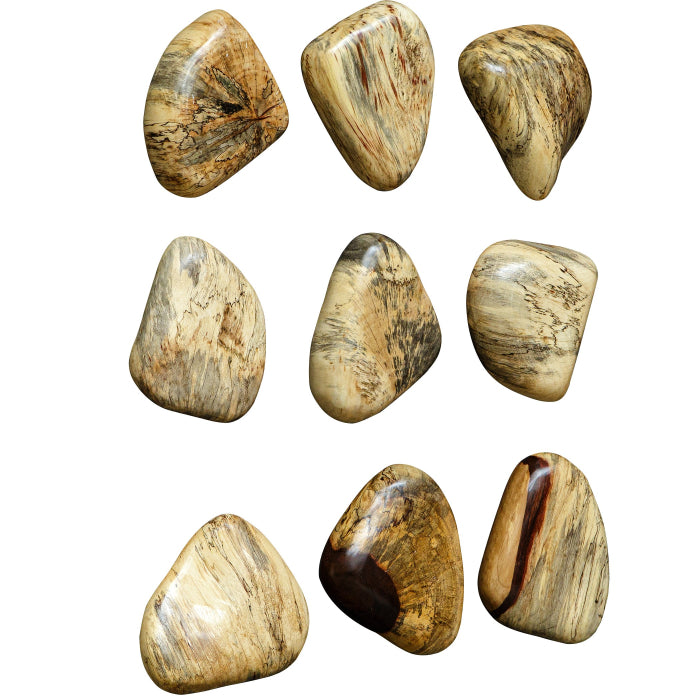 Uttermost Pebbles Blonde Wood Wall Decor - Set of 9