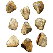 Pebbles Blonde Wood Wall D√©cor - Set of 9
