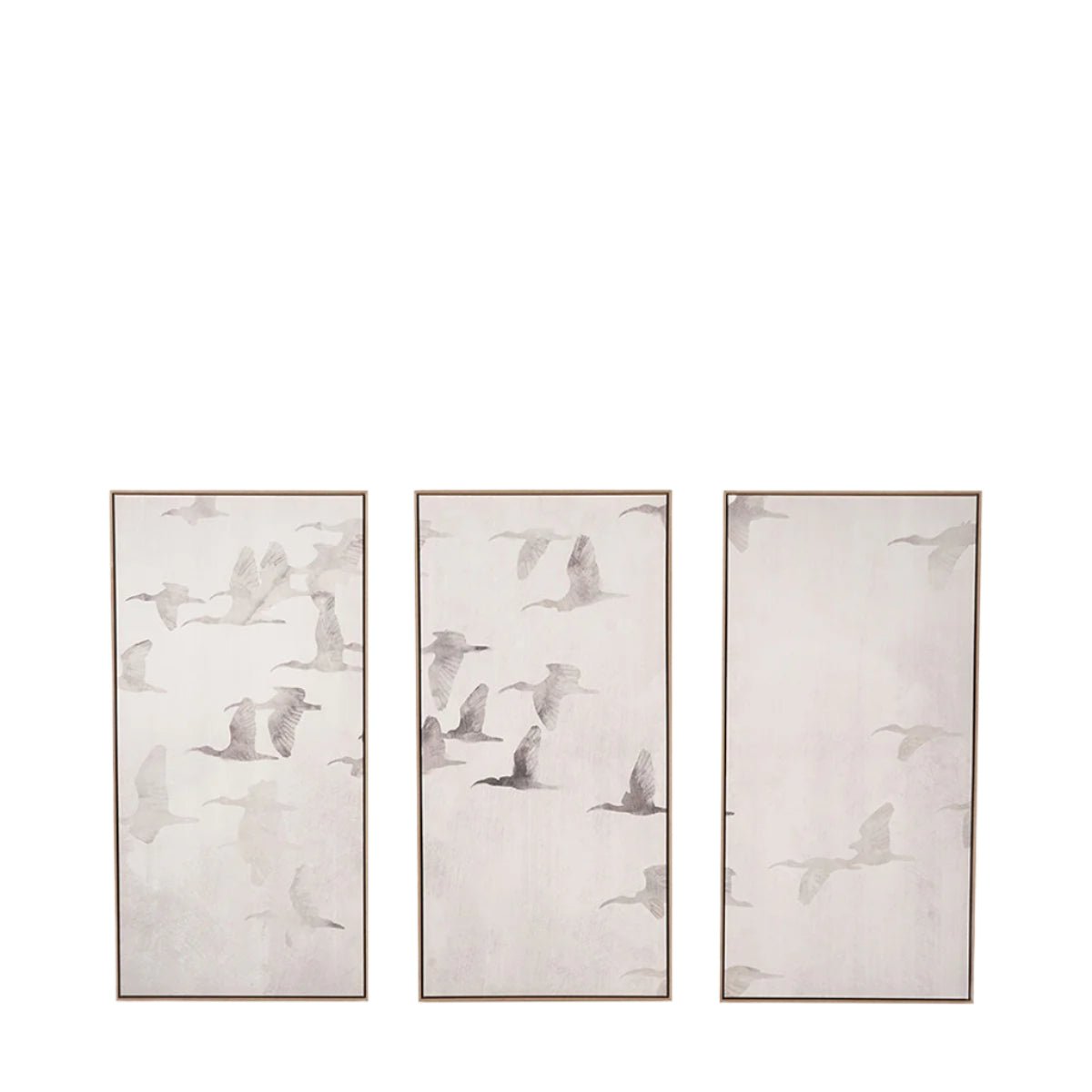 Natural and White Birds Canvases with Natural Frames Set of 3 - Pacific Lifestyle Wall Art