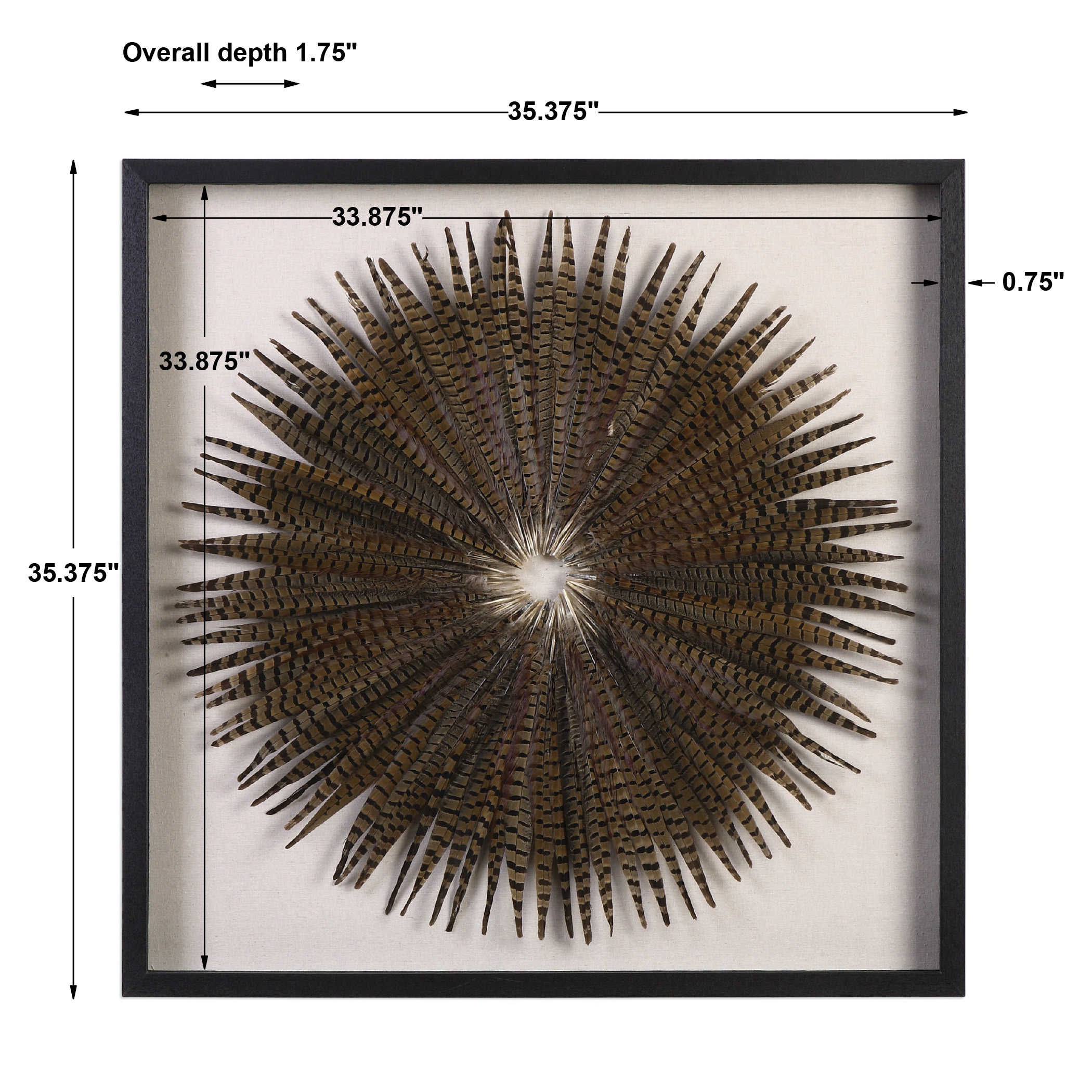 Uttermost Feather Burst Shadow Box