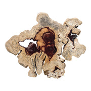 Geller Wood Wall Decor in Blonde