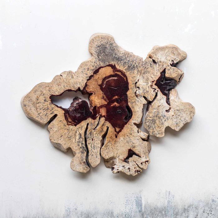 Uttermost Geller Wood Wall Decor in Blonde
