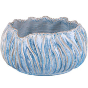 Low Tide Bowl