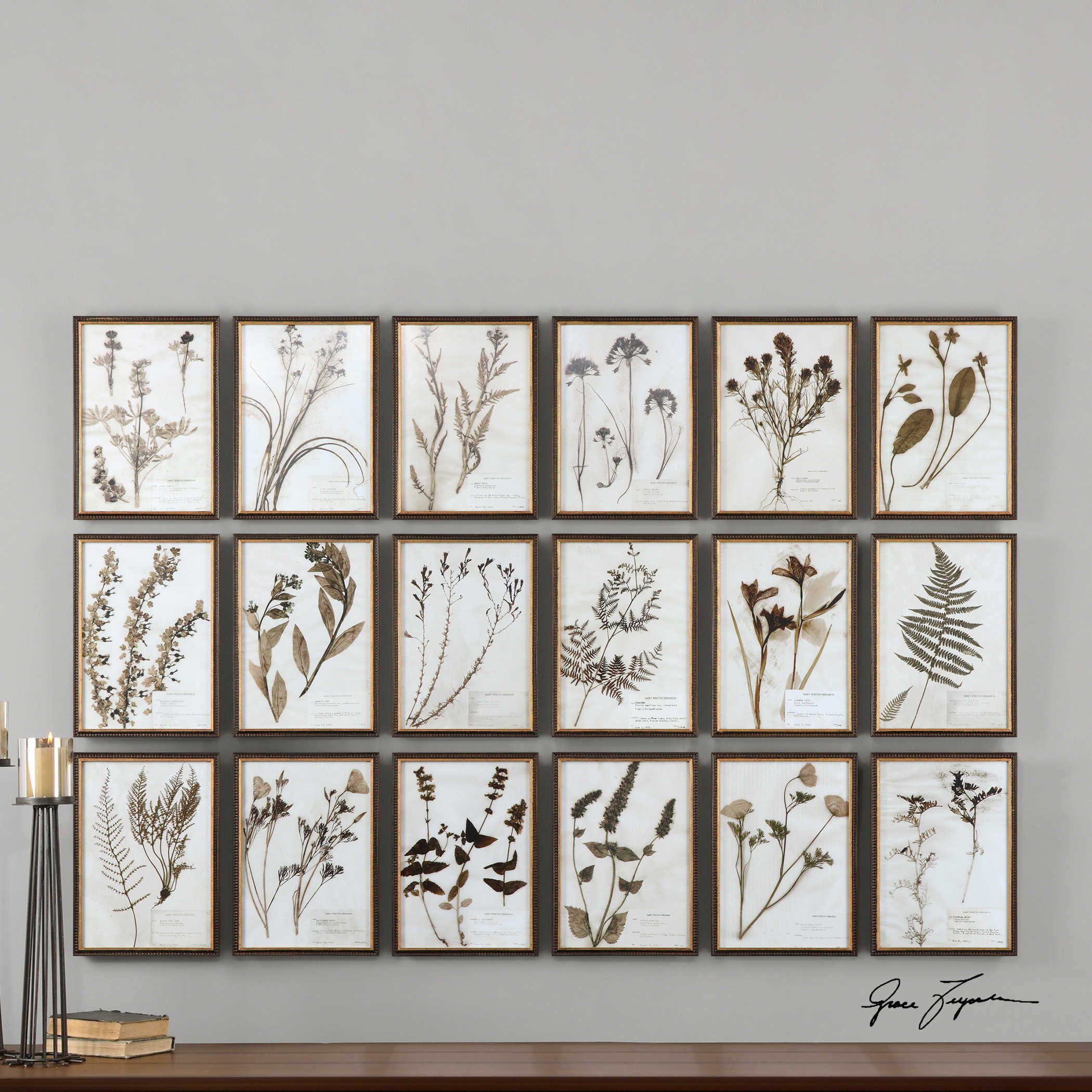 Uttermost Botany Set of 18 Framed Prints