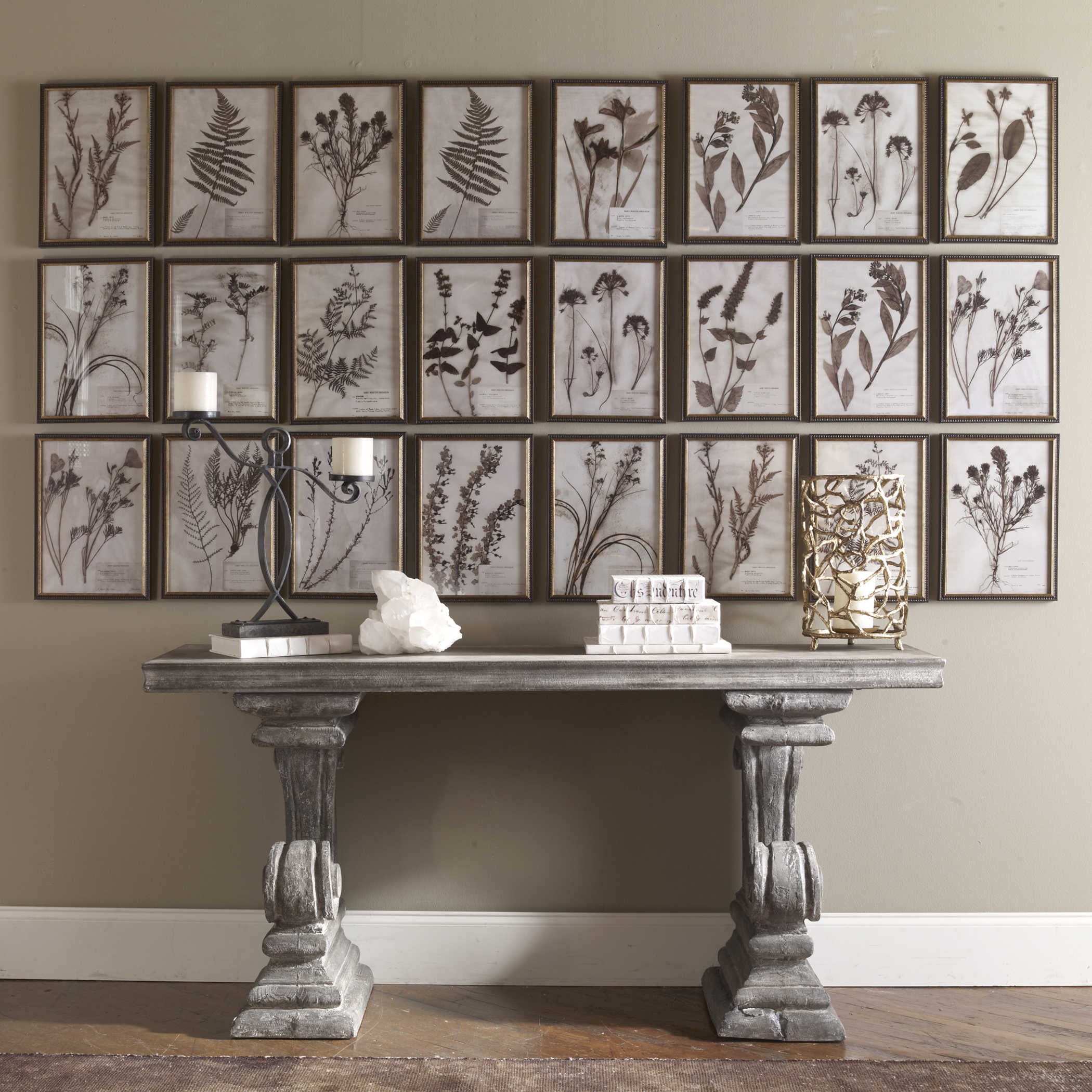 Uttermost Botany Set of 18 Framed Prints