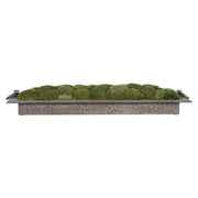 Heath Preserved Moss Tray