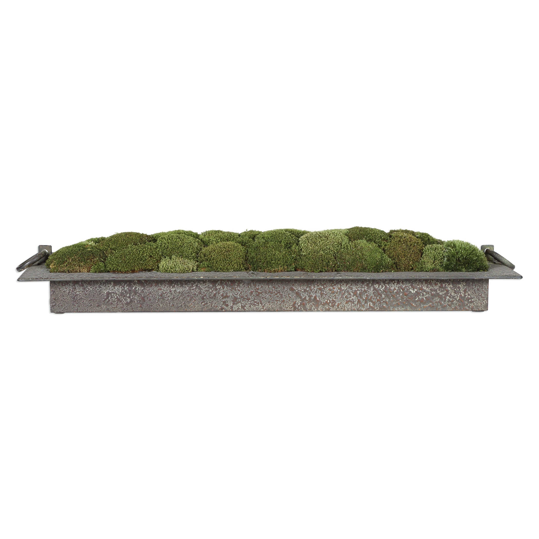 Heath Preserved Moss Tray