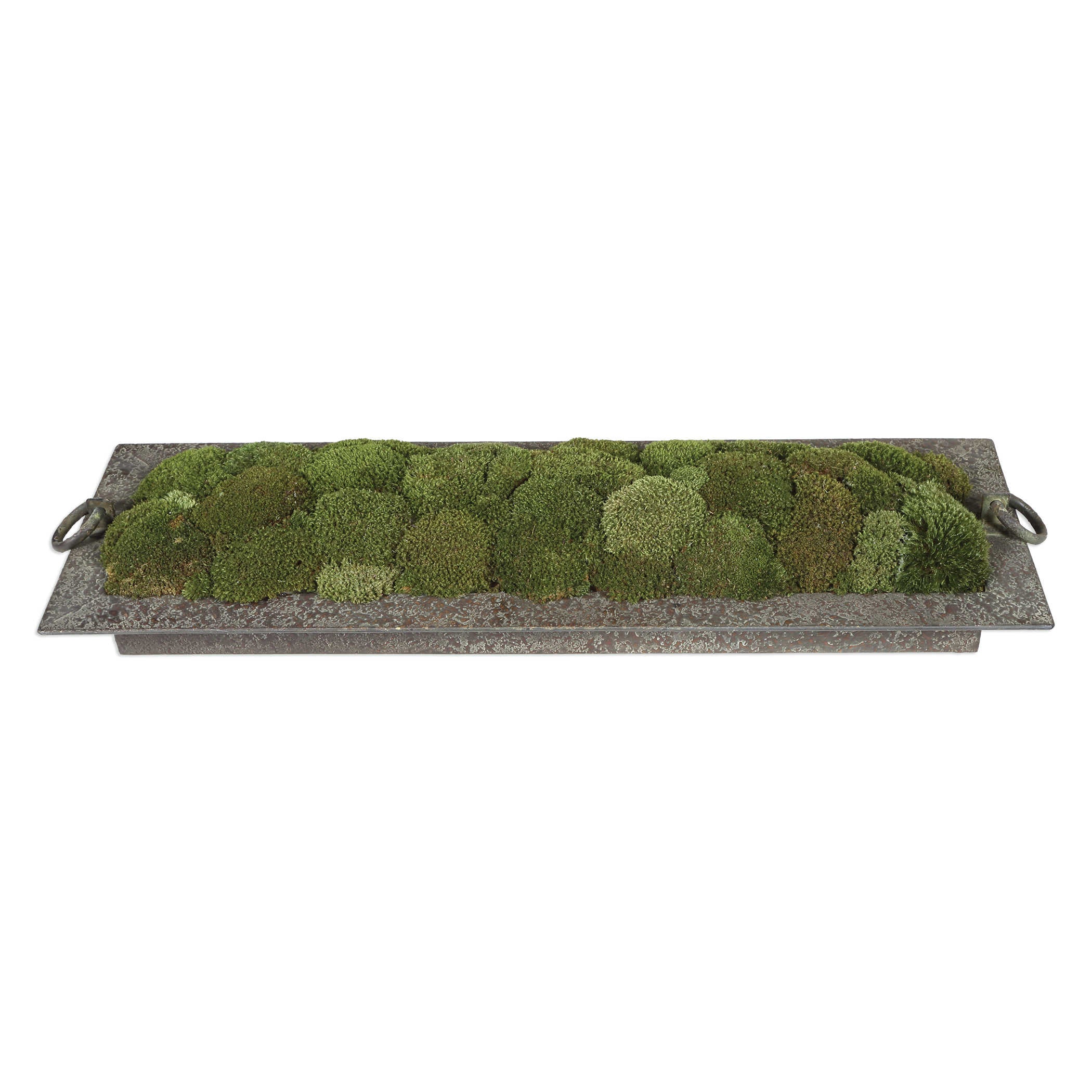 Uttermost Heath Preserved Moss Tray