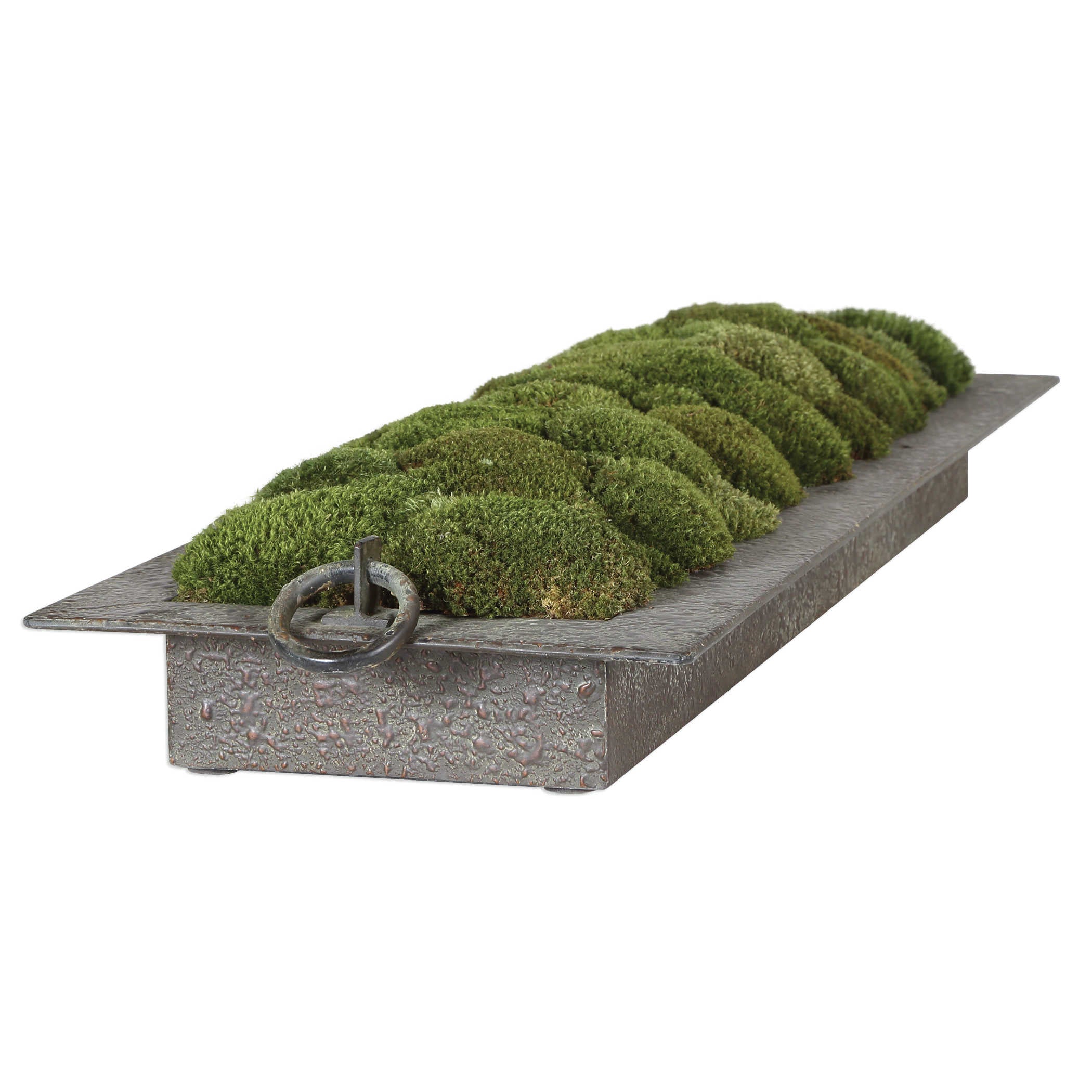 Uttermost Heath Preserved Moss Tray