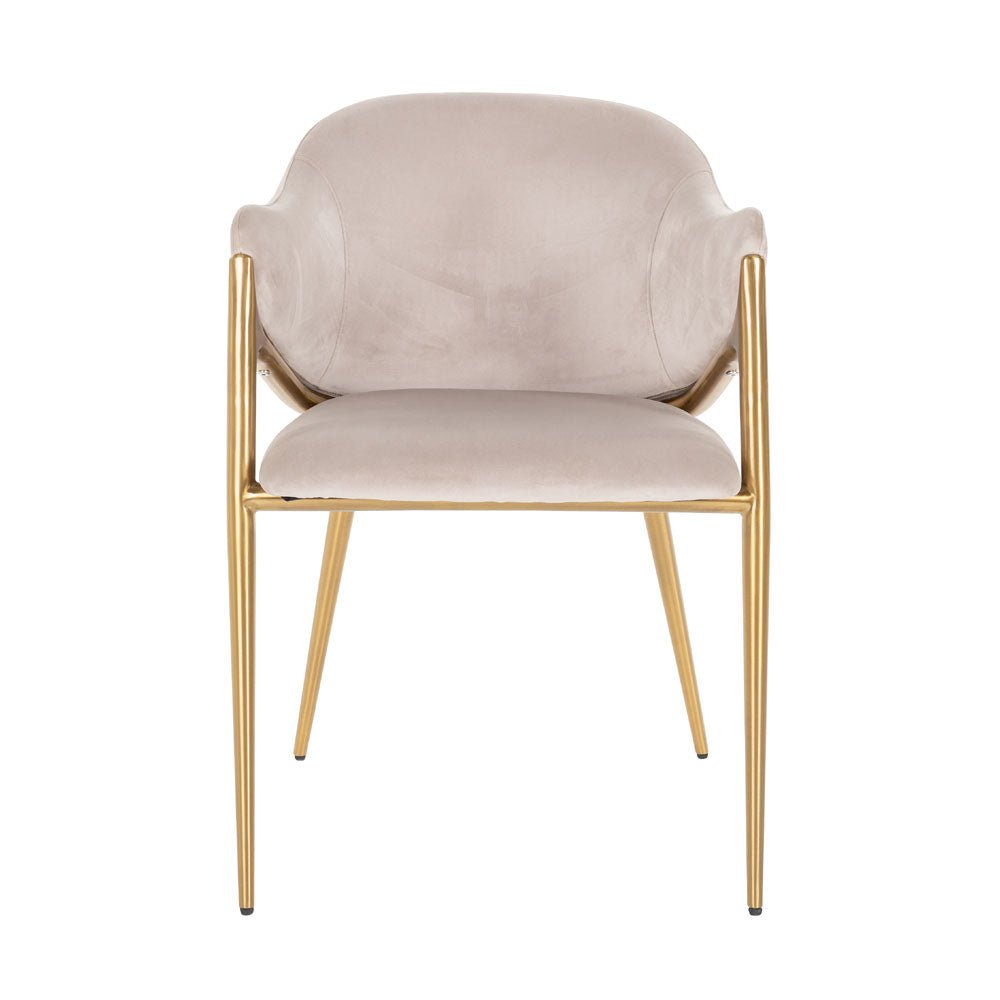 Richmond Interiors Gwen Chair in Khaki Velvet Nicholas John Interiors Richmond Interiors