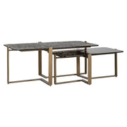 Richmond Interiors Sterling Set of 2 Coffee Table Coffee Table