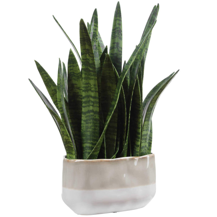 Uttermost Sansera Snake Accent Plant