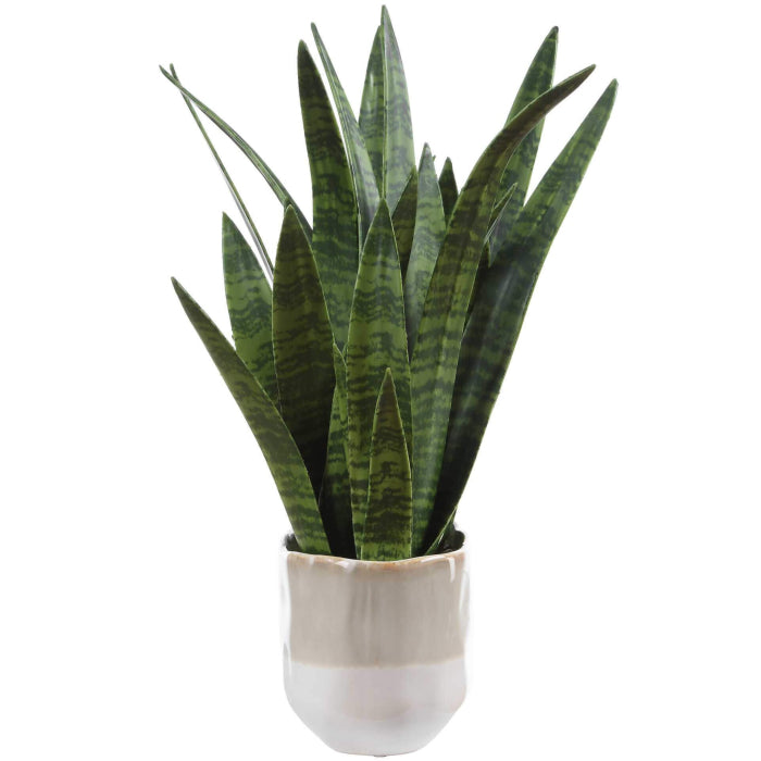 Uttermost Sansera Snake Accent Plant
