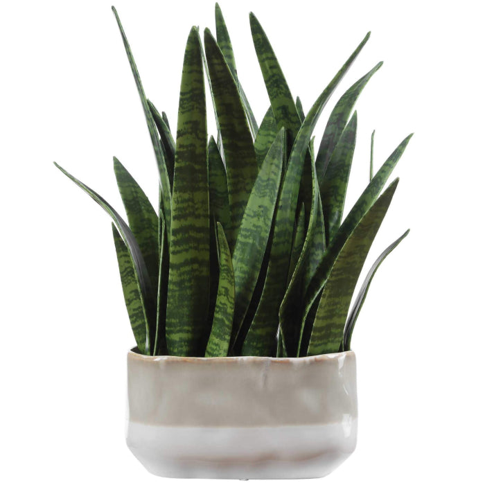 Uttermost Sansera Snake Accent Plant