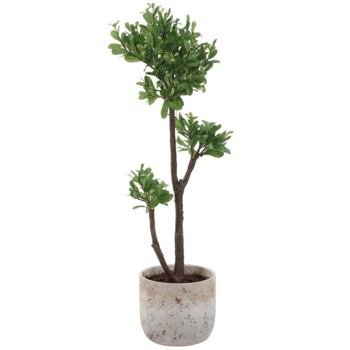 Uttermost Arbor Strawberry Tree