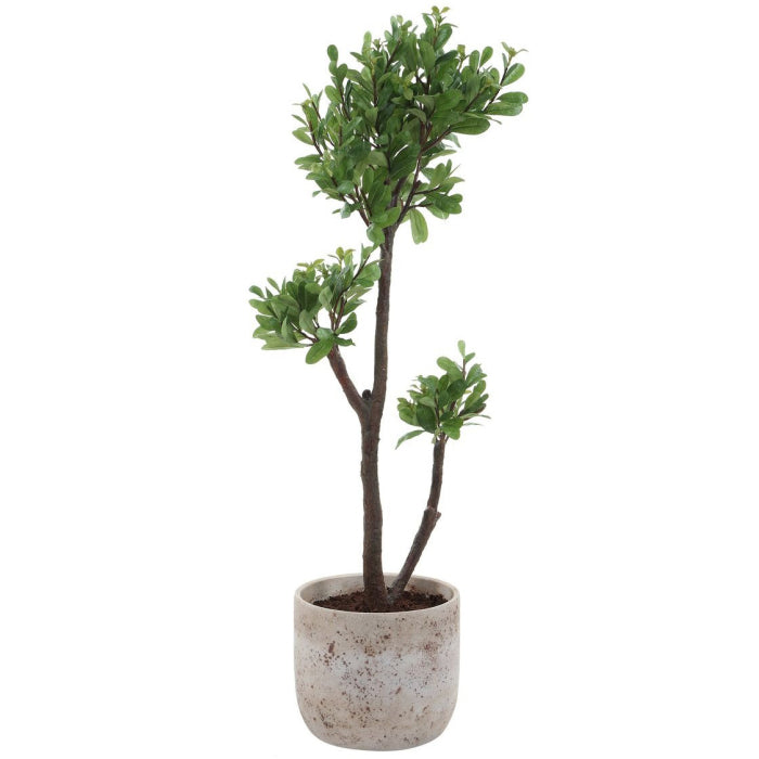 Uttermost Arbor Strawberry Tree