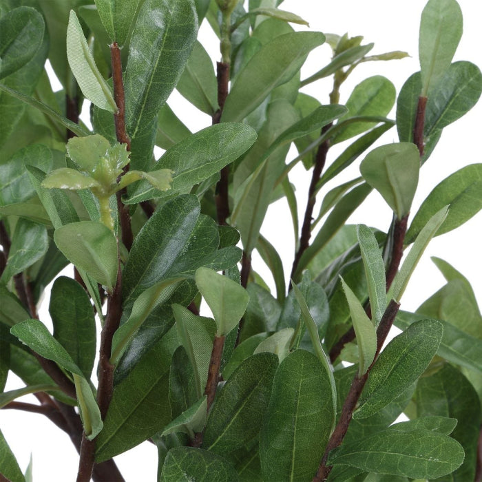 Uttermost Arbor Strawberry Tree