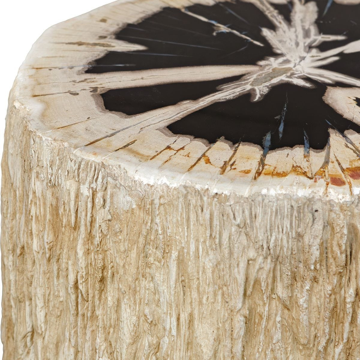 Uttermost Arco Top Accent Table in Petrified Wood