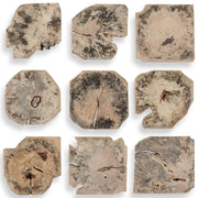 Bahati Wood Bleached Wall Decor - Set of 9